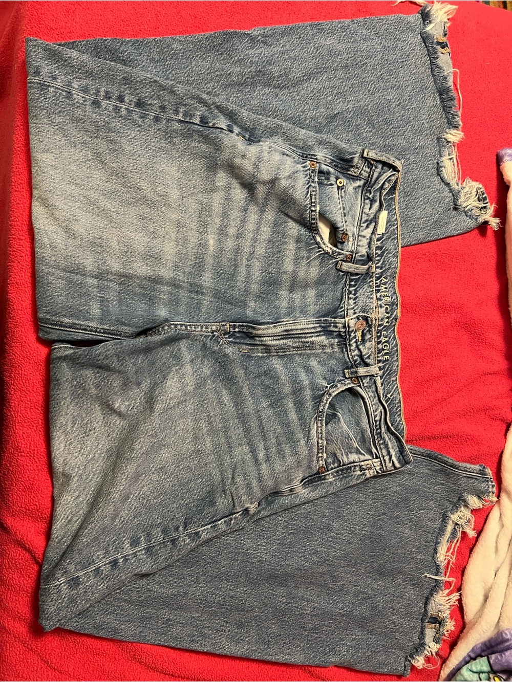 American Eagle Outfitters Distressed Light Blue Cropped Jeans
